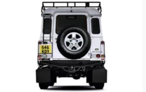 Defender Rear Access Ladder