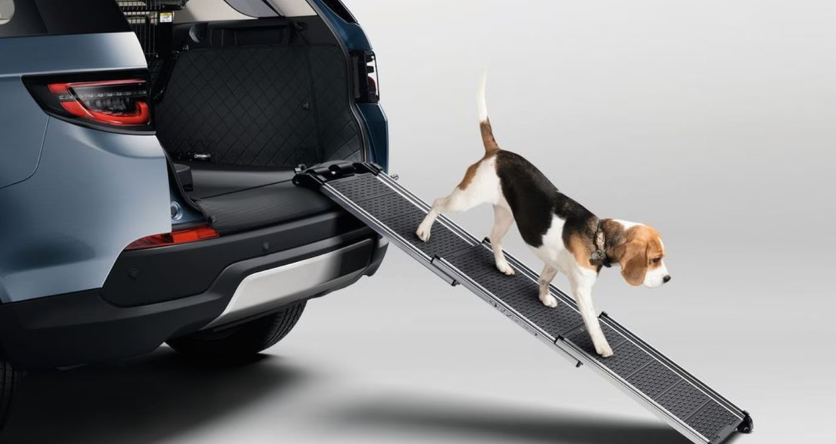 Pet Access Ramp