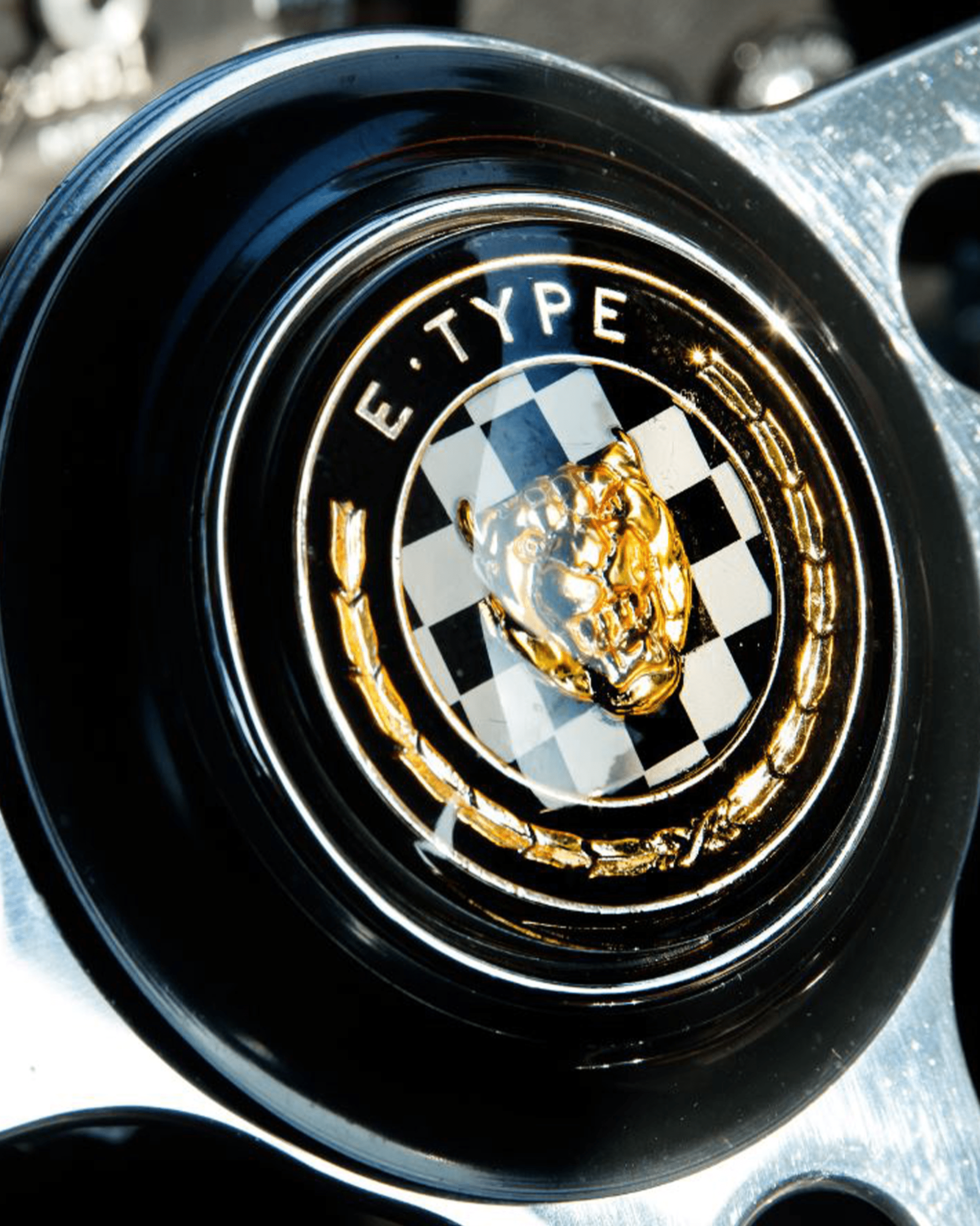 'E-TYPE' customised emblem with jaguar head and laurel wreath.